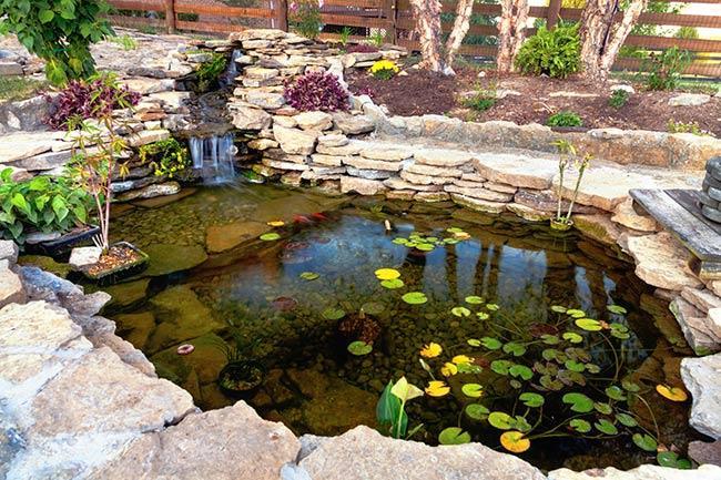 How to build a water garden