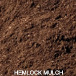 hemlock mulch