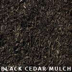 Black Cedar Mulch