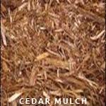 Cedar Mulch