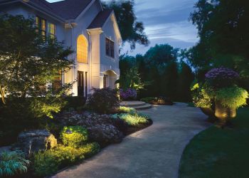 Backyard Remodel On a Budget: Cost-Effective Renovation Tips