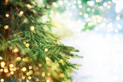 Evergreen tree with sparkling lights and falling snow.