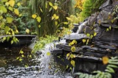 Bubbling rocks in nature. Bubbling rocks in nature.