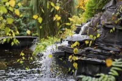 Bubbling rocks in nature.