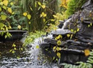 Bubbling rocks in nature.