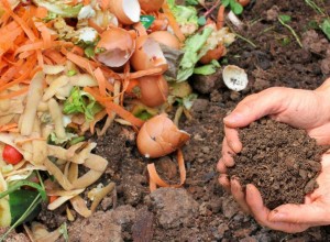 Person's hands holding soil from the ground while composting with vegetables.