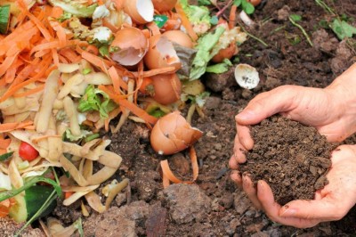 Person's hands holding soil from the ground while composting with vegetables.