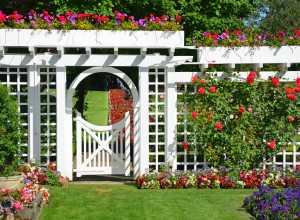 Garden trellis in backyard for added privacy.