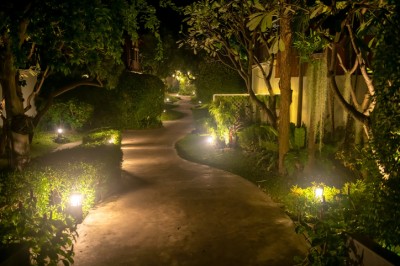 The Best Landscape Lighting Ideas and Solutions