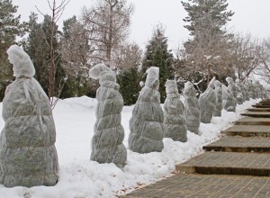Bushes protected by landscape fabric during the winter.