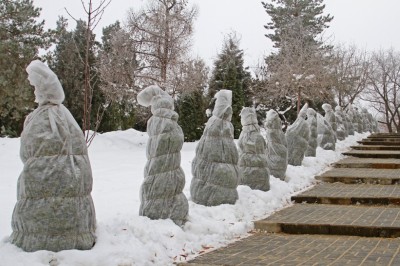 Bushes protected by landscape fabric during the winter.