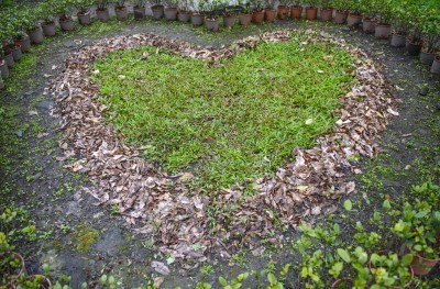 Love Your Backyard Landscape Love Your Backyard Landscape