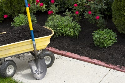 Wheelbarrow being used to distribute black mulch.