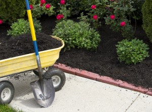 Wheelbarrow being used to distribute black mulch.