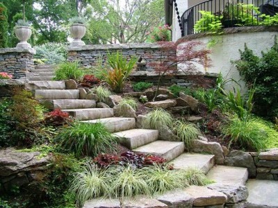 Natural stone steps surrounded by flowers and greenery.