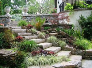 Natural stone steps surrounded by flowers and greenery.