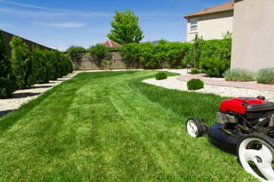 Lawn mower cutting healthy green grass.