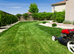 Lawn mower cutting healthy green grass.