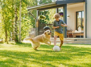 Son playing with dog in the backyard