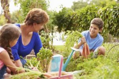 Plant a Back-to-School Vegetable Garden This Labour Day Weekend