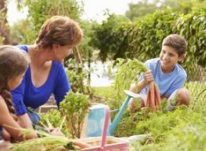 Plant a Back-to-School Vegetable Garden This Labour Day Weekend
