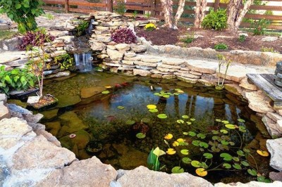 Pond Landscaping Done Right