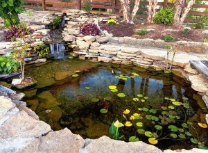 Pond Landscaping Done Right