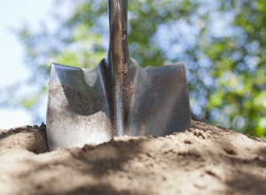 Shovel in dirt.